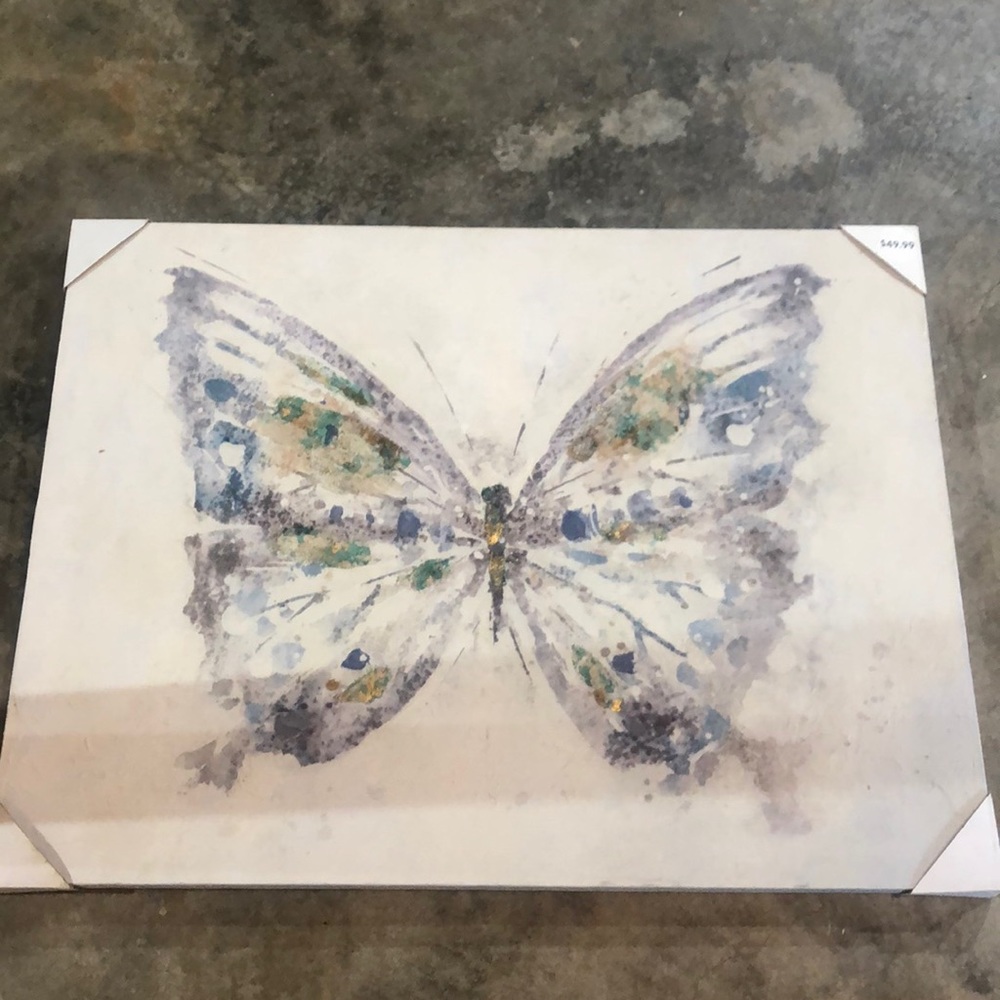 butterfly painting